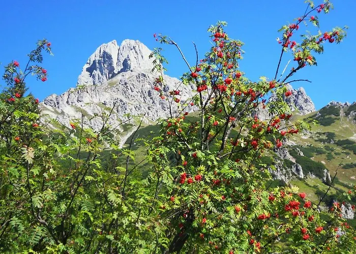 Alpehytte Abendstille